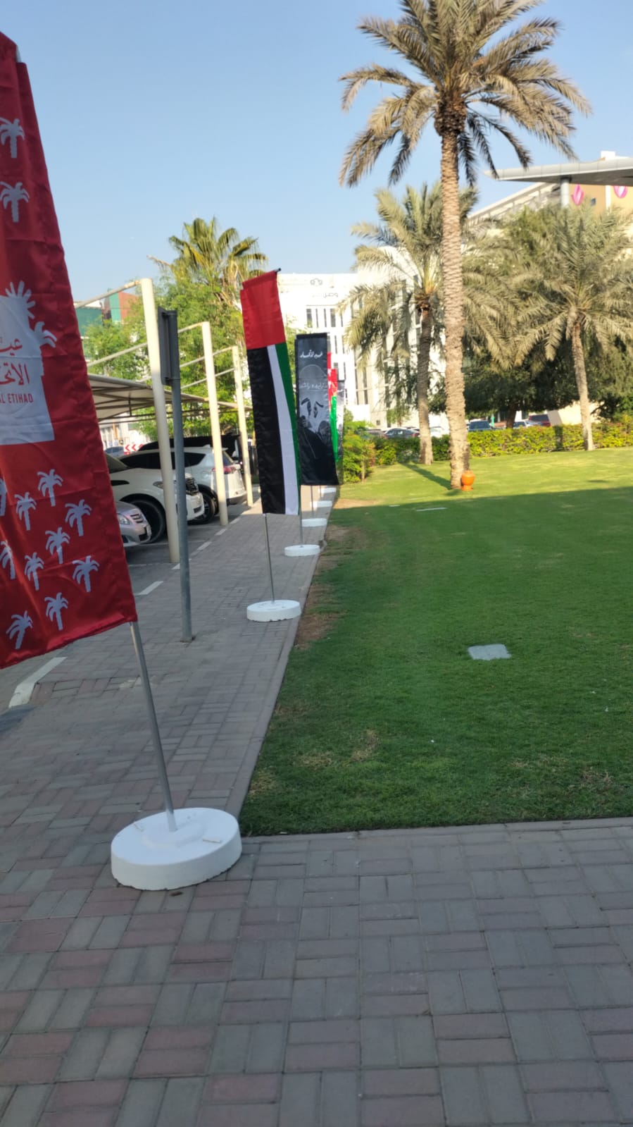 Advertising & Publishing